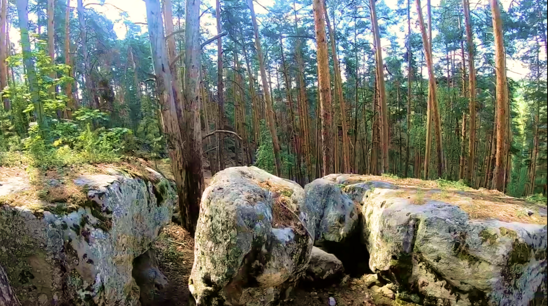 Альпы самары. Рачейские Альпы. Рачейские Альпы Самара. Рачейские Альпы Сызрань. Рачейские Альпы экскурсия.