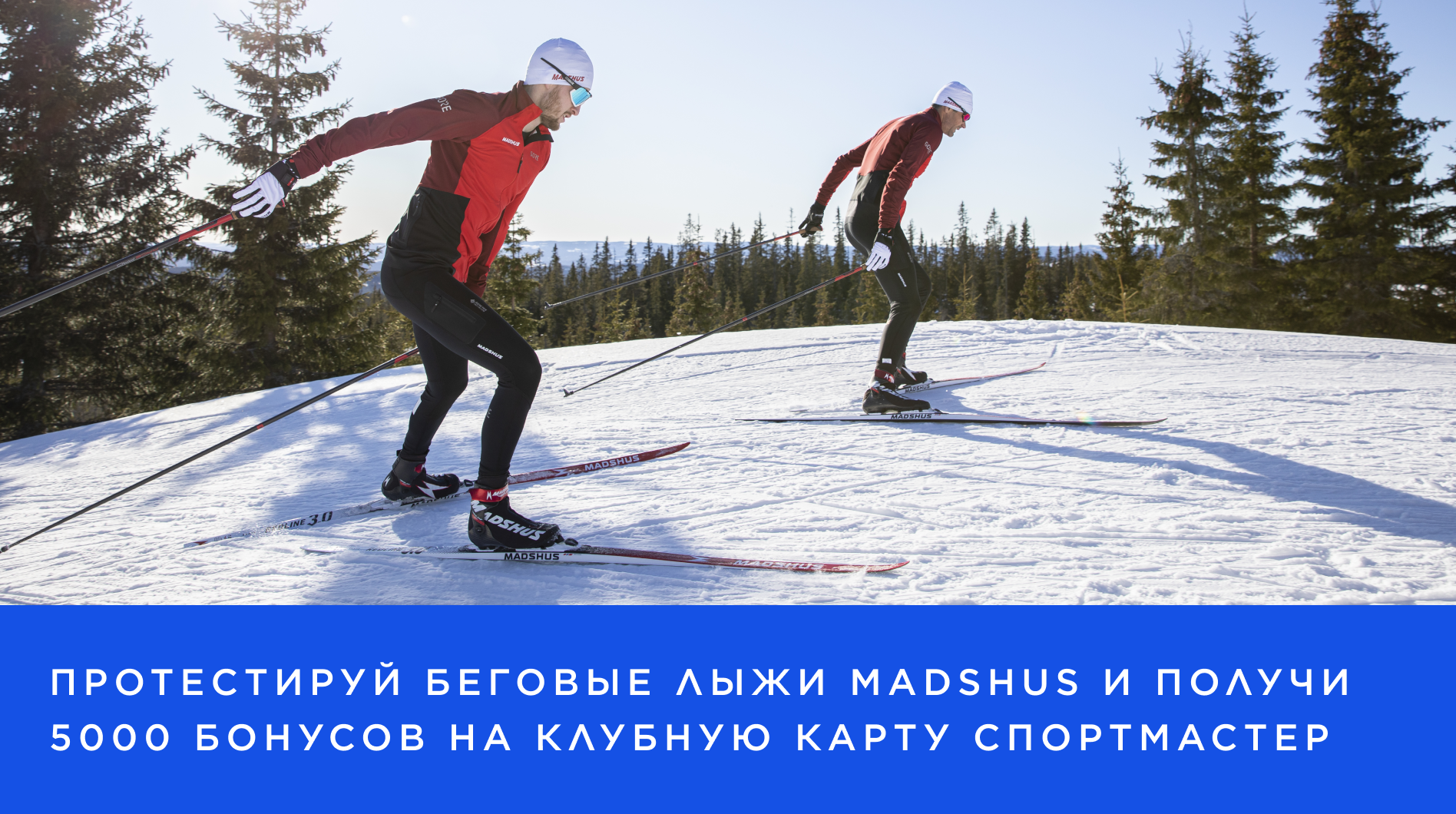 Тесты беговых лыж Madshus
