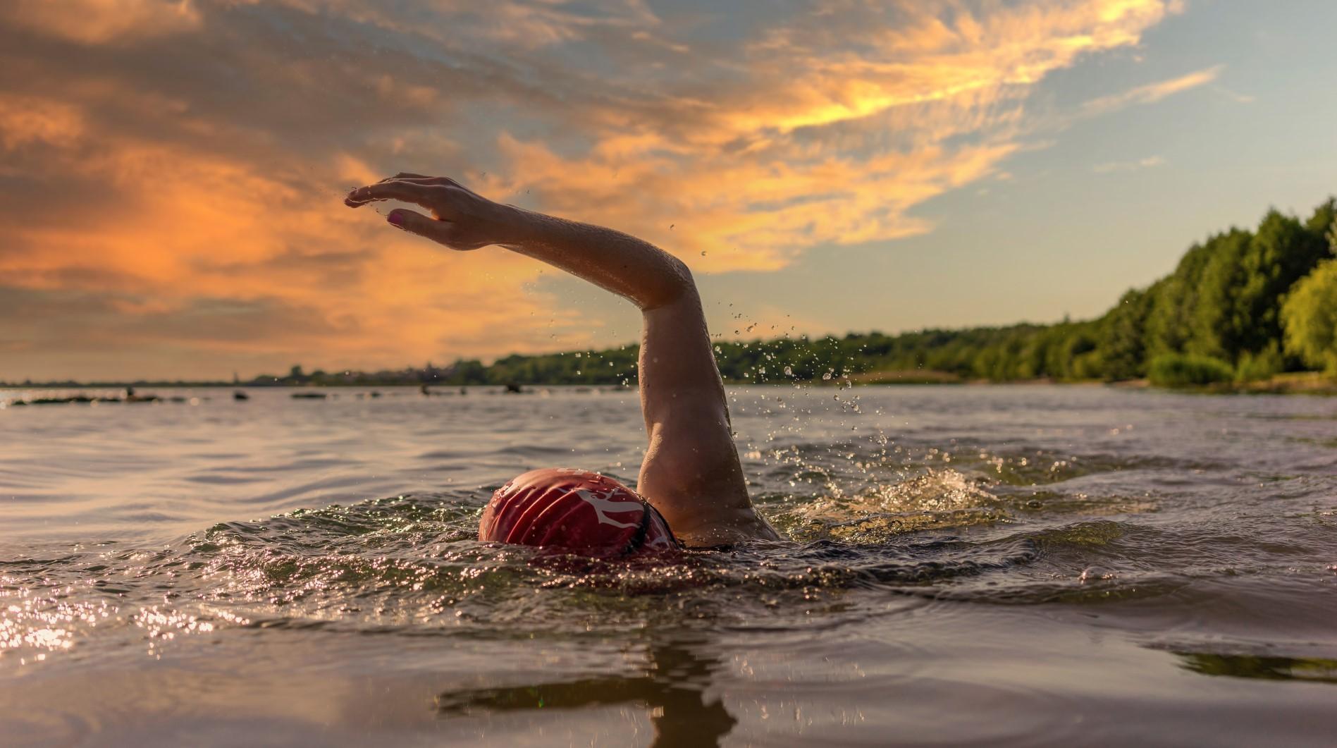 Секреты открытой воды: техника плавания в открытой воде — афиша спортивных  событий Спортмастер