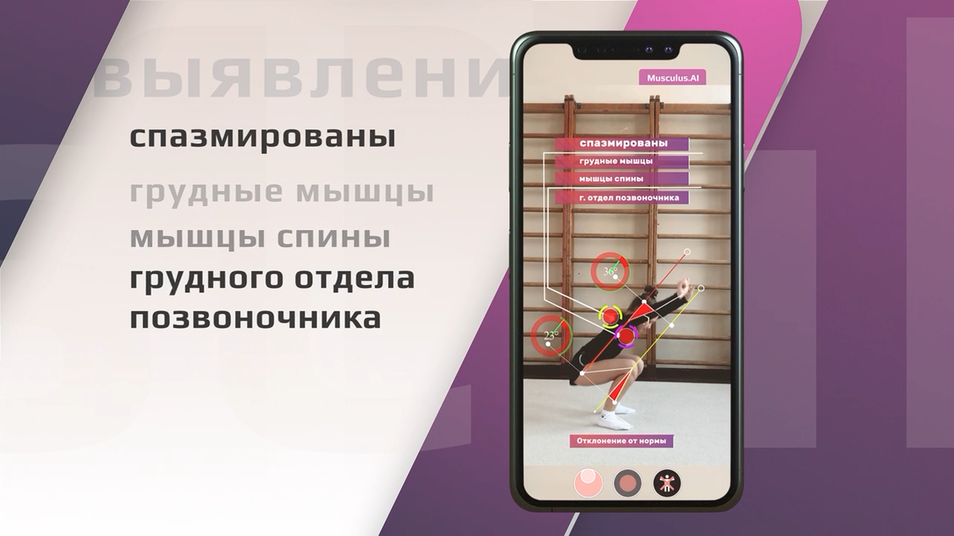 Жизнь без боли. Диагностика опорно-двигательного аппарата с Musculus.ai —  афиша спортивных событий Спортмастер